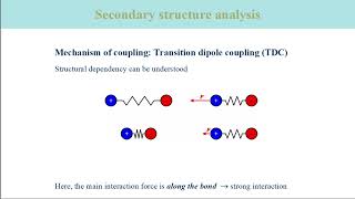 VibSpec 22 Transition Dipole Coupling between Amide I Vibrations of Proteins