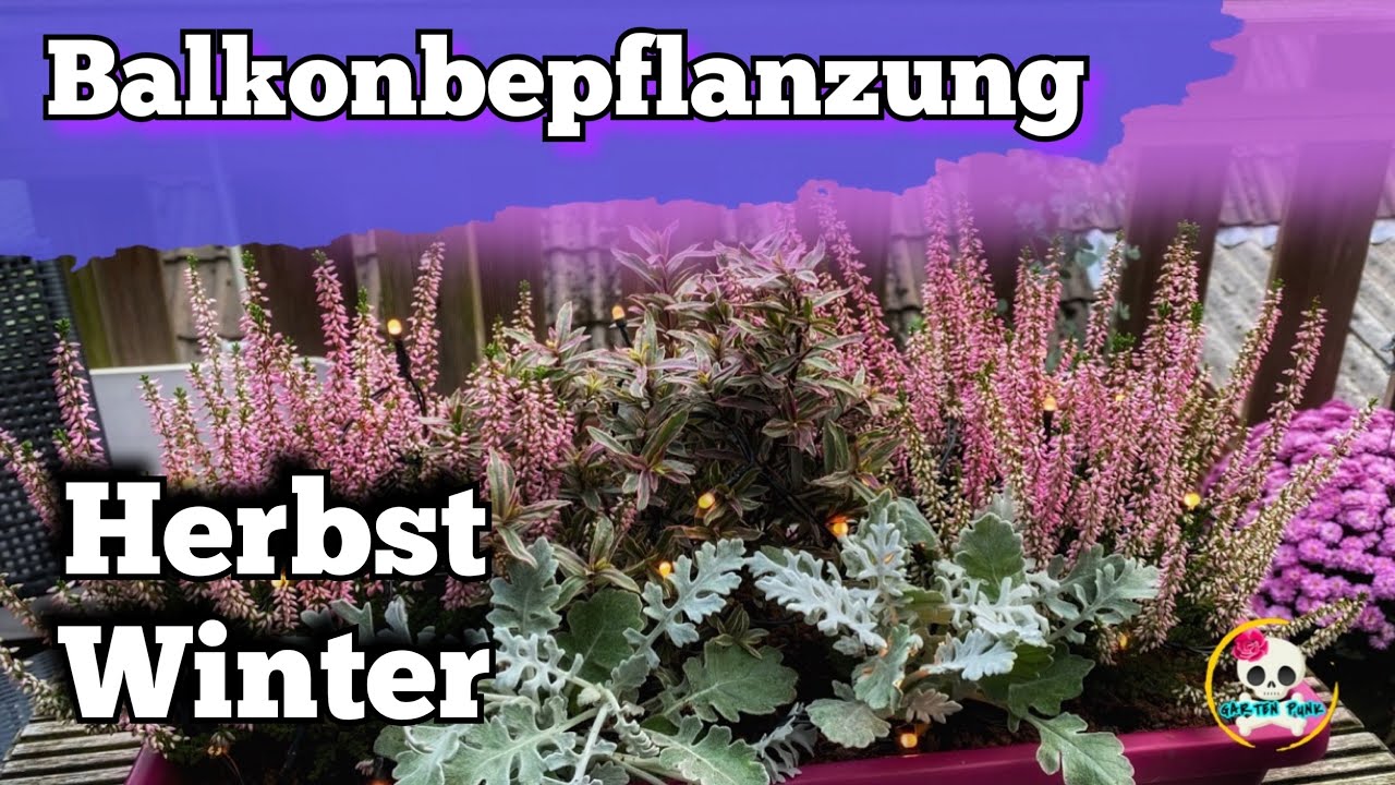 Herbstdeko Balkonbepflanzung Herbst & Winter Alte Bepflanzung