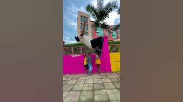 Tip tip barsa pani  || new reel || new shorts  ||new Instagram reel #shorts #youtube #tseries