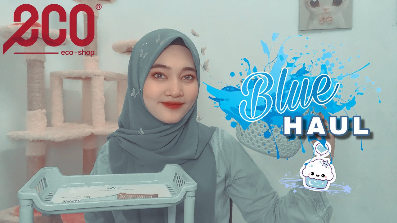 ECOSHOP RM2 HAUL | KITCHEN ORGANIZER BLUE HAUL || BARANG DAPUR - YouTube