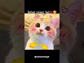 rishta pasand nhi hai #cat #memes #ytshorts #tweetreels #shortvideo #funny #catphotos