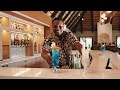  Game Drives & Wild Encounters ?? Luxury Safari Adventure in Africa