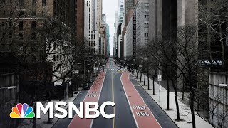 Rimoin: Decision To Reopen U.S. Must Be Based On Science | The 11th Hour | MSNBC