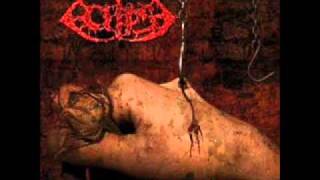 Eclipse - Mindsuffer