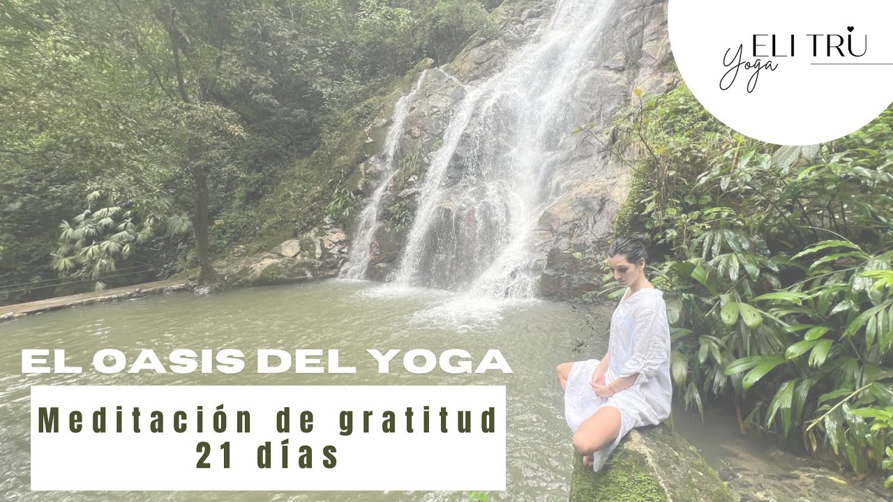 Meditación de Gratitud de 8 Minutos | Practica por 21 Días para ...