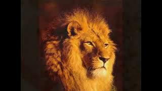 Nzambi Zeyi De L' Orchestre Soba Nza