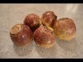 How to Boil Rutabaga: Cooking with Kimberly