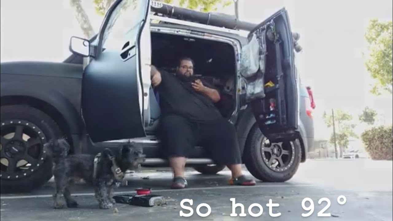 How to survive the summer heat (vanlife)￼