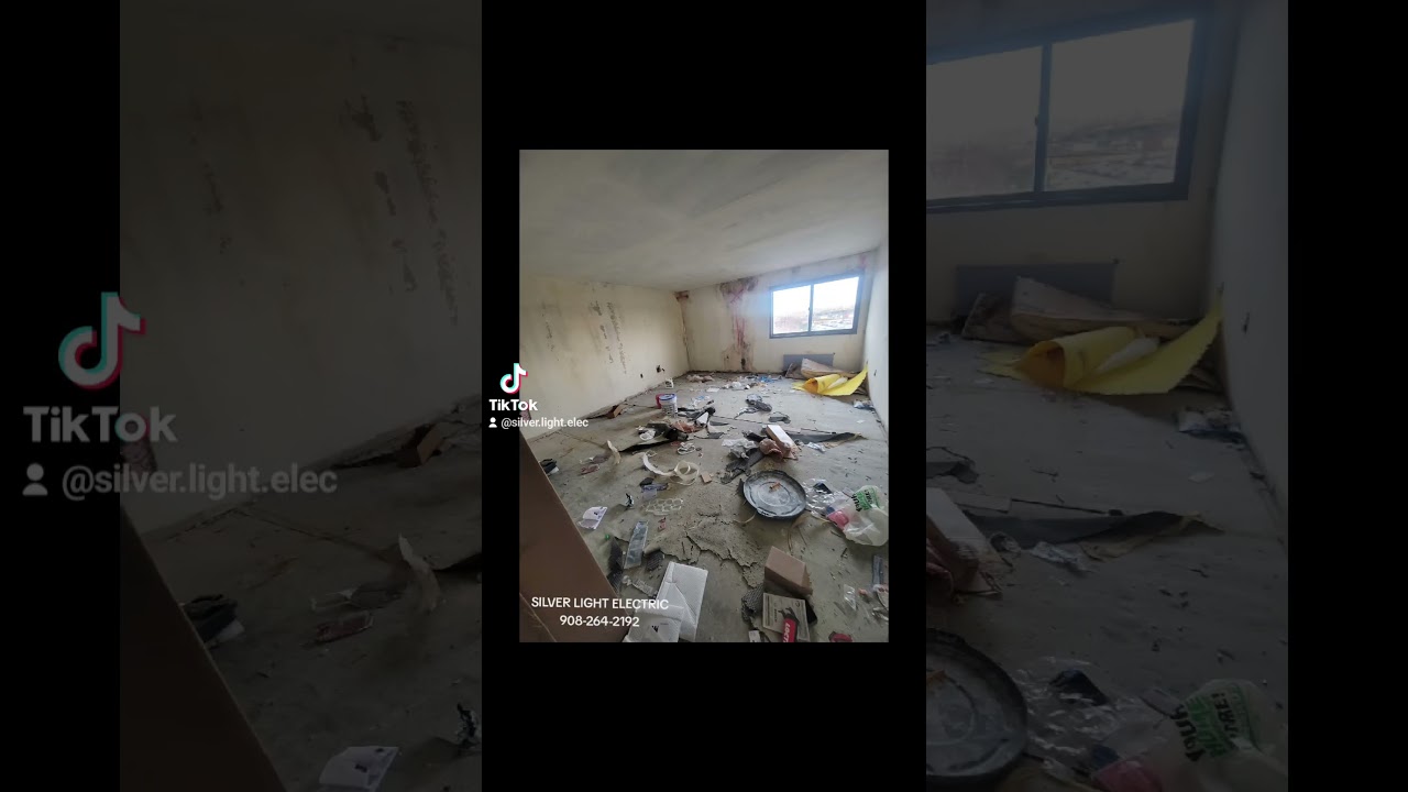 SILVER LIGHT ELECTRIC 