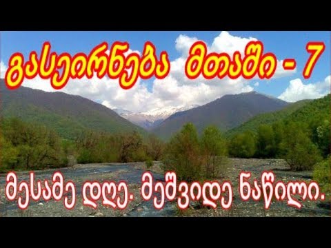 ფეხშიშველი–ტანშიშველი /ტბისკენ მიმავალი გზა / - ეძღვნება ლელა ტურაშვილის ხსოვნას.  VII ნაწილი.