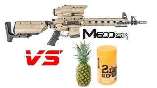 Tracking Point M600 5.56 Rifle vs Pineapple/Sonic Boom 2lb Exploding Target