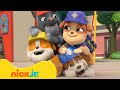 ¡Lo MEJOR de Rubble y Equipo Temporada 1! 🛠️ | Parte 5 | Nick Jr. en Español