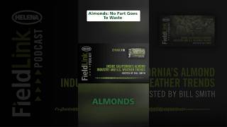 Almond Farming Secrets: Zero Waste, Maximum Profit