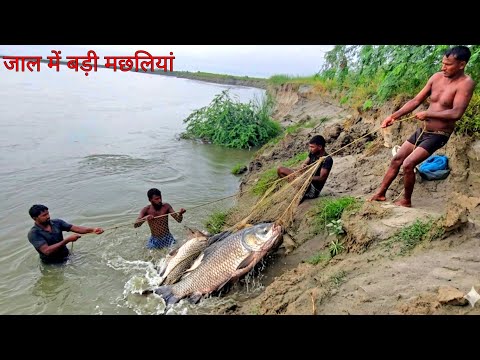 गंगा नदी के तेज बहाव पानी में जाल को डालकर कैसे करते हैं यह शिकारी मछलियों का शिकार #fishhunting2 