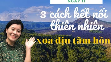[Ngày 11] 3 Cách kết nối với thiên nhiên để XOA DỊU TÂM HỒN | LƯU THANH THÙY