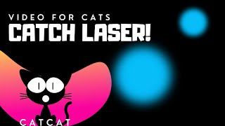 Cat Games Laser - Blue Laser Chaser for Cats - 1 Hour with Entertaining Music. screenshot 4