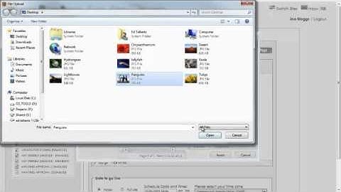 How do I add an image to my website using 16 Interactive CMS Content Management System?