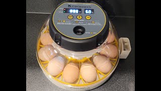 Incubating Chicken Eggs! Step-by-Step (Short version). Using the Kebonnixs Egg Incubator. April 2023