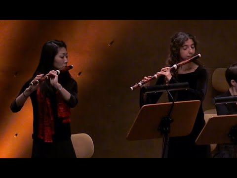 G. Ph. Telemann - Concert pour 2 flûtes traversières TWV53:h1 - Ludovice Ensemble - LIVE RECORDING