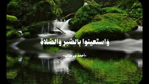 أتأمرون الناس بالبر وتنسون انفسكم #قران_كريم #راحة_نفسية #اكسبلور #تلاوة_خاشعة 