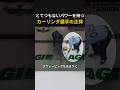 とてつもないパワーを持つカーリング選手の正体