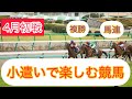 【小遣い2万円やりくり競馬】4月初戦勝利で飾れるか？