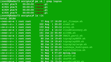 QRadar CE terminal basics- process,  search