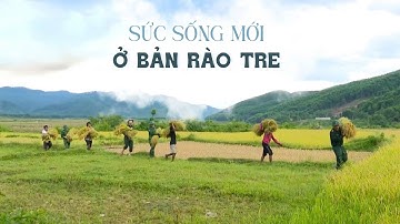 Sức sống mới ở bản Rào Tre | NHỮNG NGƯỜI CON CỦA LÀNG BẢN | VTV5