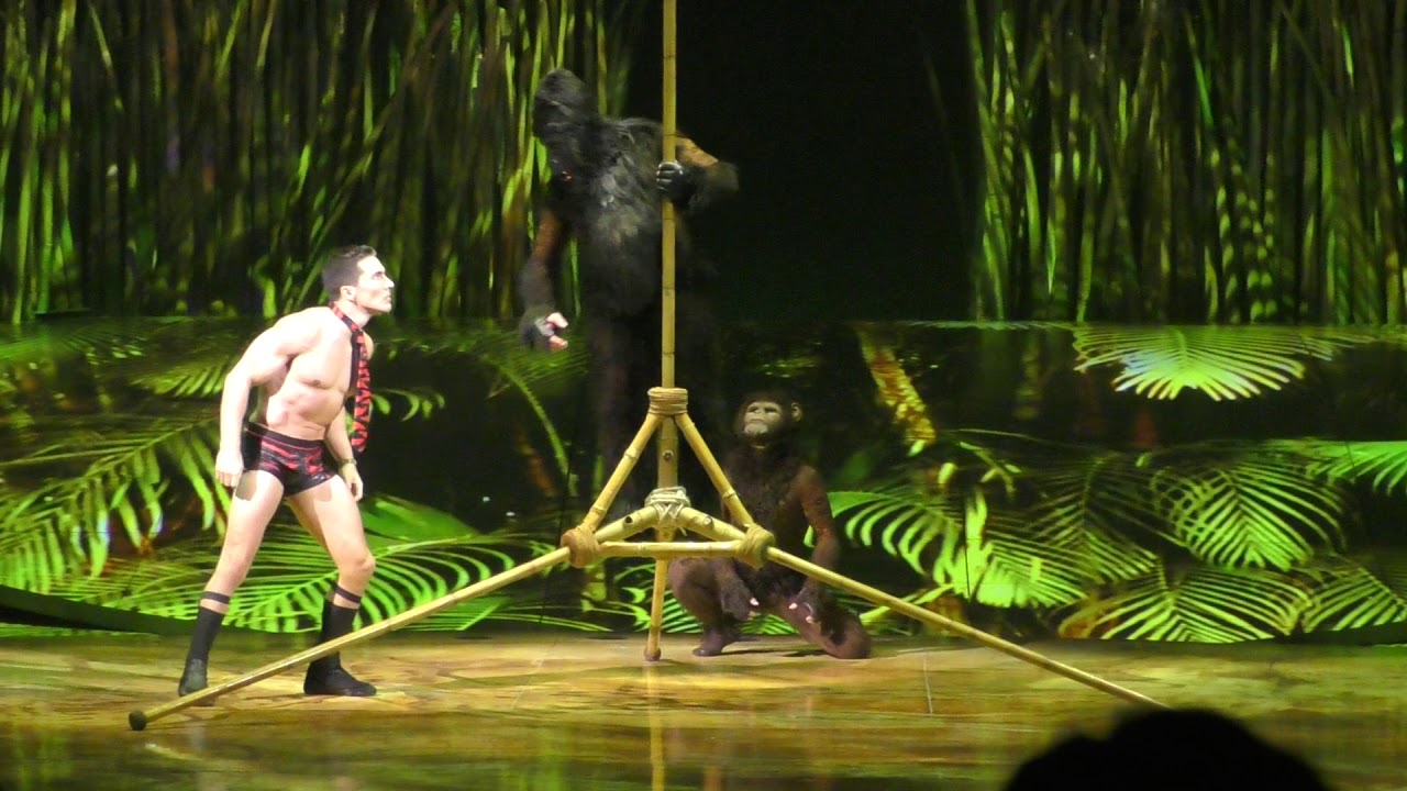 Olli Torkkel Pole Act Cirque Du Soleil