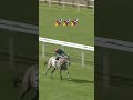 This turn of foot was ELECTRIC! ⚡️ #horse #horseracing #animalshorts