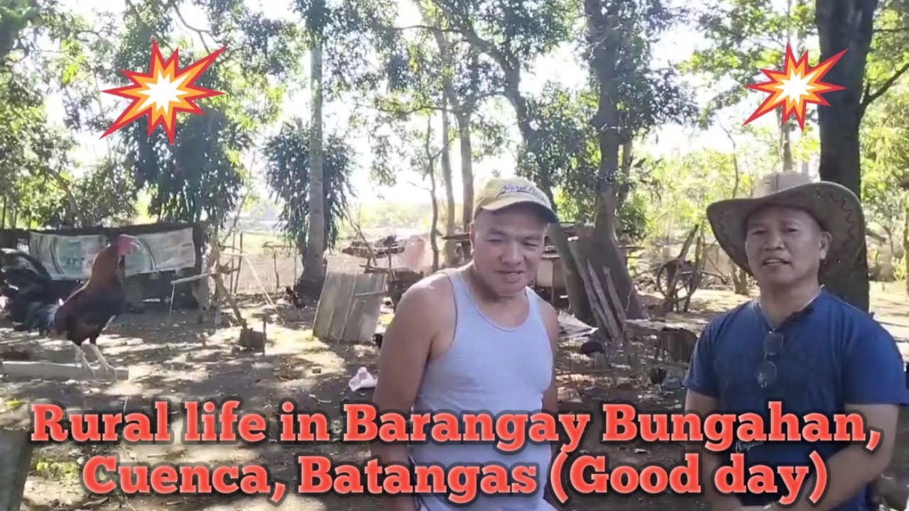 Rural life in Barangay Bungahan, Cuenca, Batangas (Good day) YouTube