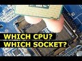 Which CPU socket do I have?
