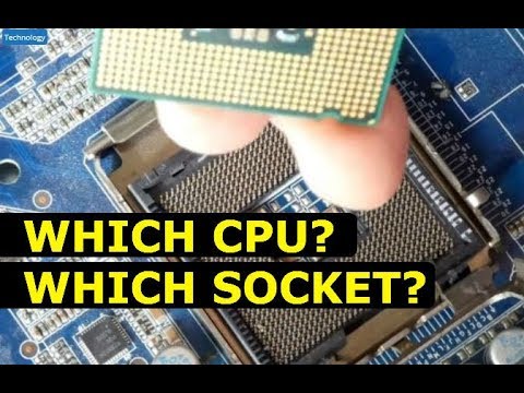 Video: How To Find Out The Socket Of The Motherboard