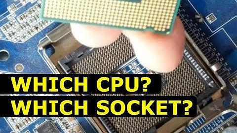 Which CPU socket do I have?