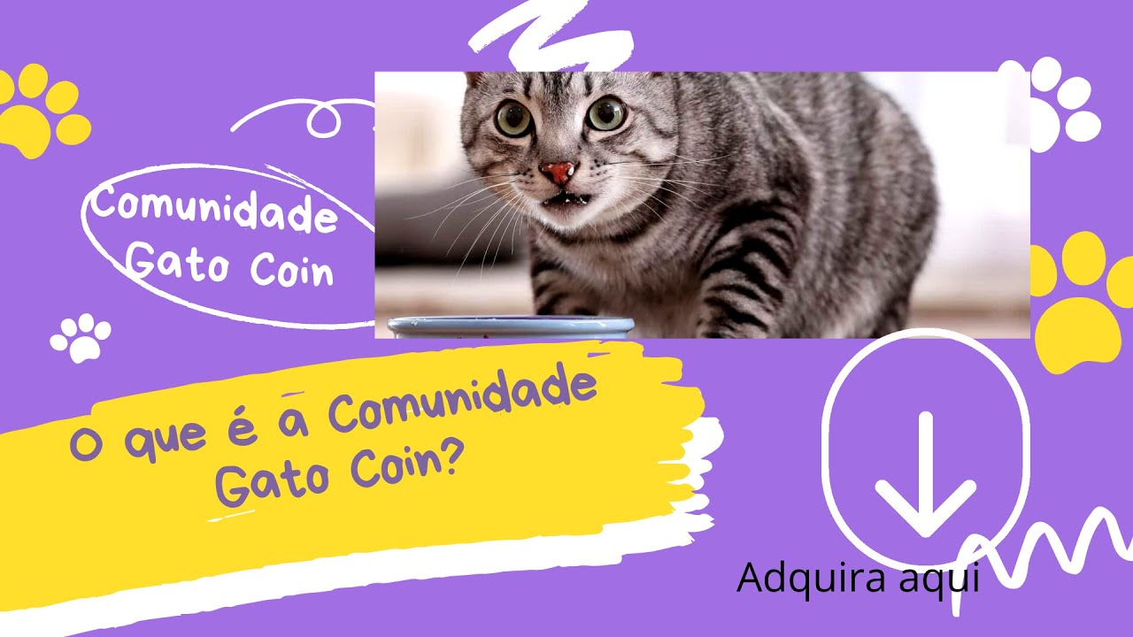 O que é a Comunidade Gato Coin? - YouTube