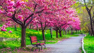 послушайте эту музыку и вам станет легче🌿Нежная музыка,успокаивает нервную #15