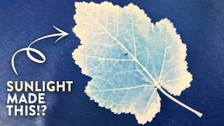 Cyanotype: The Most Satisfying Art Form You've Never Tried!