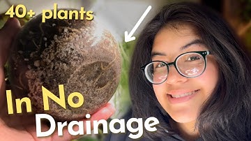 How I Care for My No Drainage Plants + All of My Plants in Drainage-less Pots
