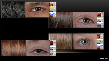 34C3 -  Extended DNA Analysis