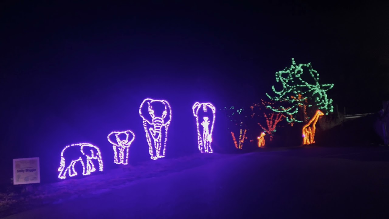 Drive through light show Pittsburgh Zoo. zoo pittsburgh winter 