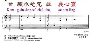 PCT2009聖詩117 何等奇妙疼痛