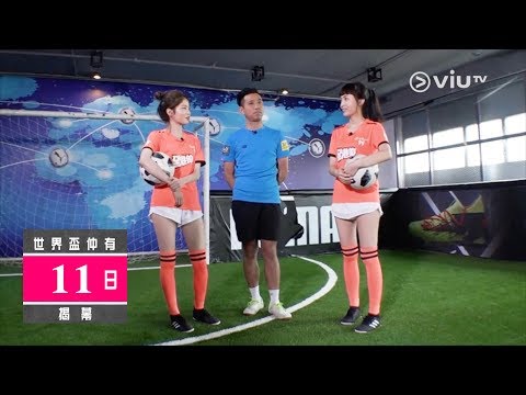 《全港的》世界盃倒數11日