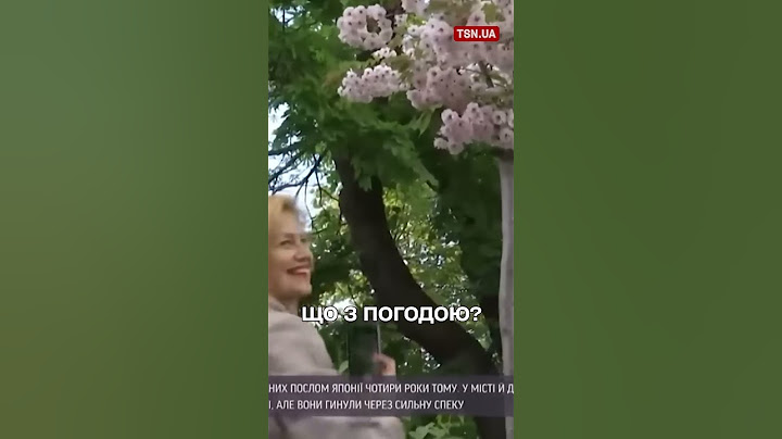 Погода знову вражає! Спека чи дощі?!