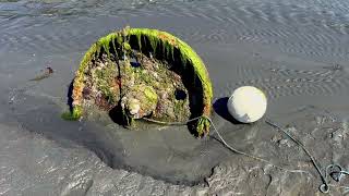 PNW Beach | Low Tide Exploration 