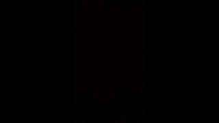 Fortnite kid dog shit meme