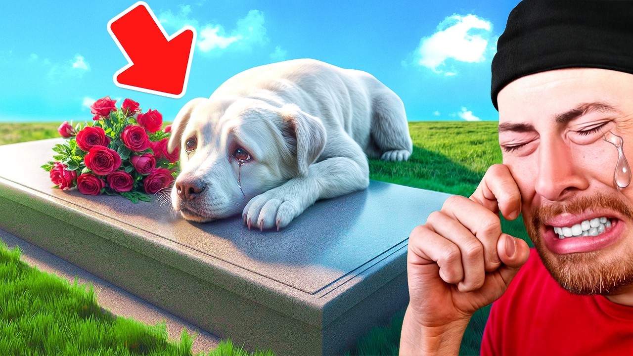 SADDEST Animations On The INTERNET?!