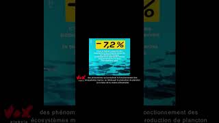 Réchauffement : la biomasse de poissons amputée d’un quart d’ici 2100 #effondrement #poisson #pêche