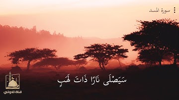 سورة المسد للقارئ الشيخ ناصر القطامي HD