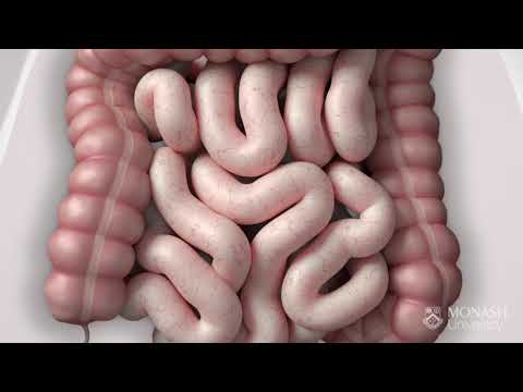 IBS Symptom relief