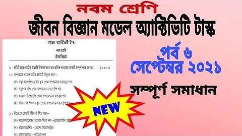 Class 9 Life Science Model Activity Task part 6.  Model Activity Task Class 9 LifeSience Part 6 Sept